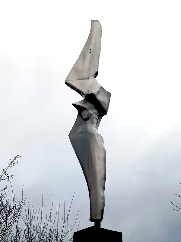 Bird in Flight by Bob Dawson