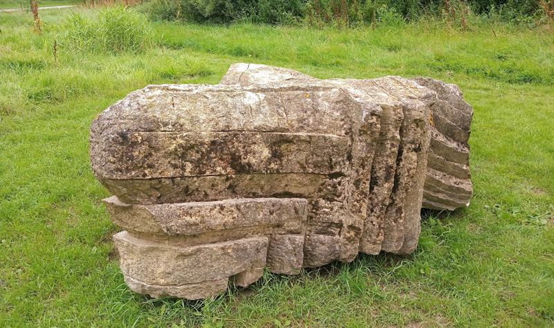 Creature-anne nicholson