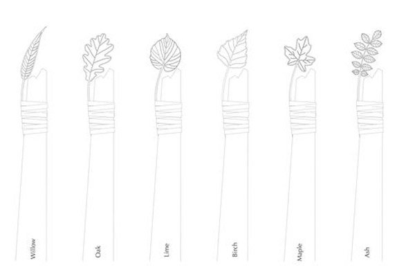 Long Causeway - Flora & Fauna sketch