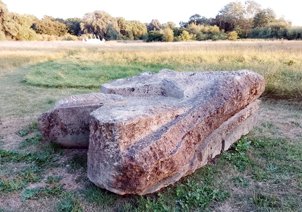 Creature by Anne Nicholson