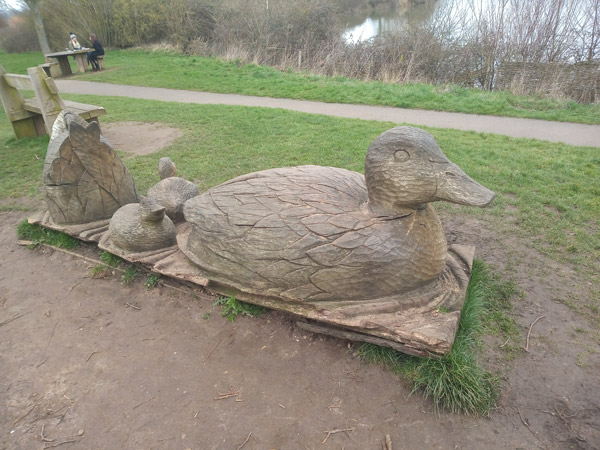 Wooden ducks sculpture