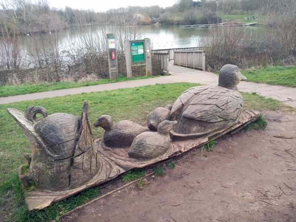 Wooden ducks sculpture
