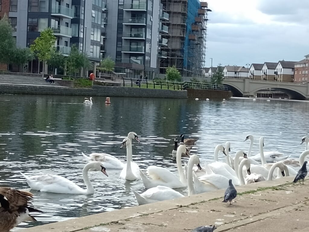 Luxury apartments next to River Nene