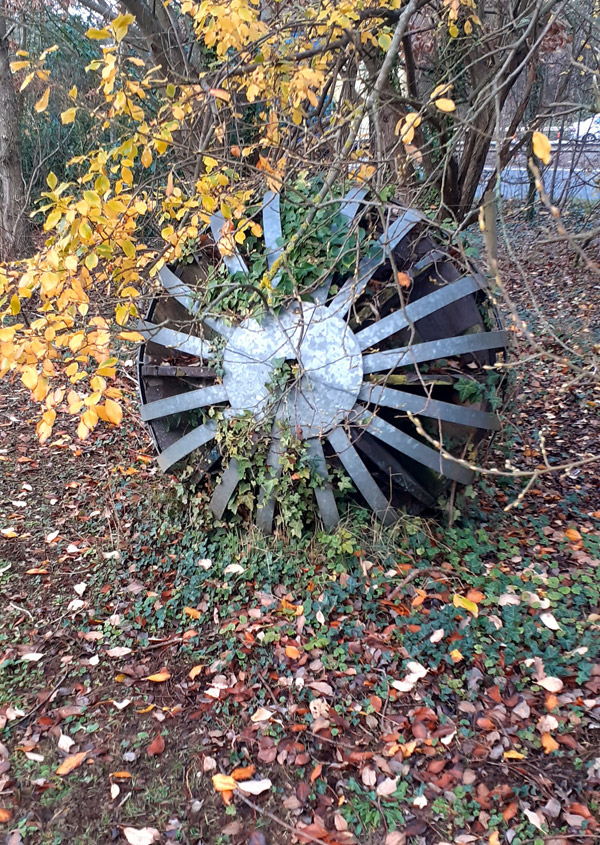 Regeneration - Acorn by Richard Gibson